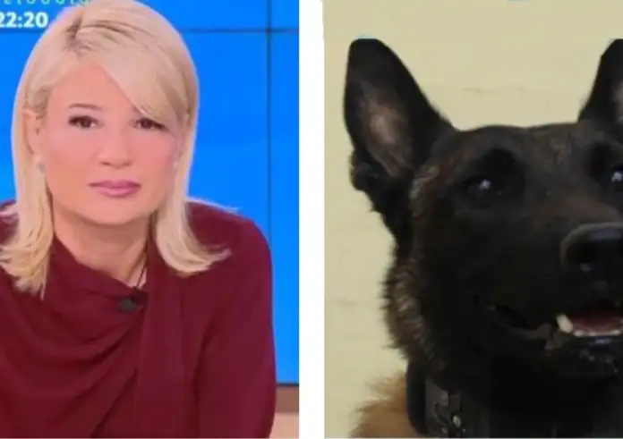 Φαίη Σκορδά ξεσπά για τον θάνατο του Echo: «Ντροπή τους – Η αστυνομία έπρεπε να πάρει θέση»