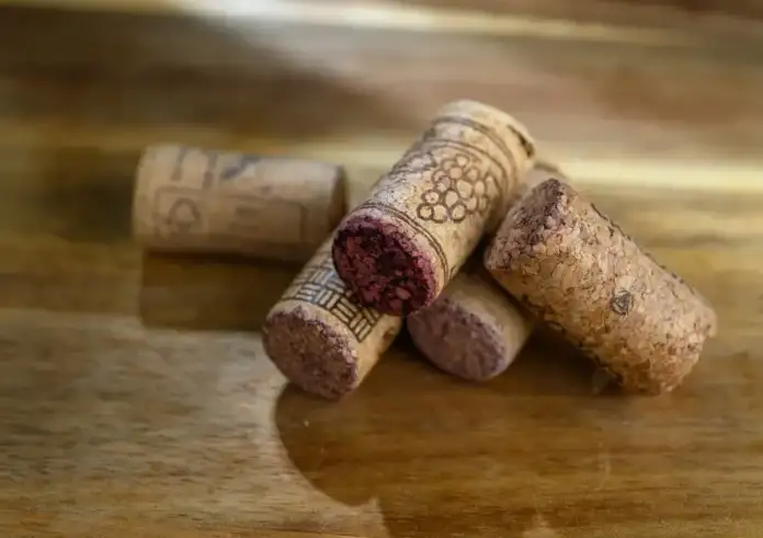 Γιατί δύο απλοί φελλοί στο ψυγείο μπορούν να βελτιώσουν τη λειτουργία του – Το έξυπνο trick