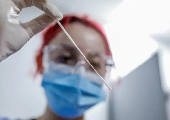 Νέα προειδοποίηση για τη γρίπη των πτηνών: Οι ειδικοί βλέπουν πιθανότητα πανδημίας αν ο ιός μεταλλαχθεί