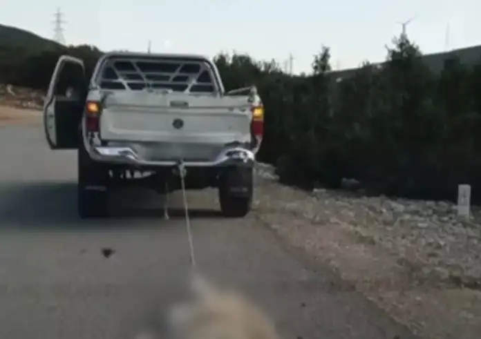 Φρίκη στη Βοιωτία: Έσερνε σκύλο δεμένο με αγροτικό – «Δεν ήθελα να μου λερώσει την καρότσα»