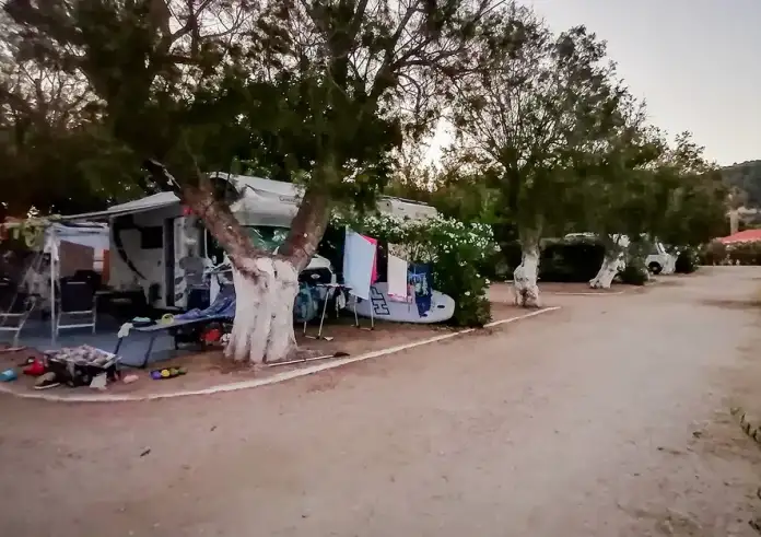 Φοινικούντα: «Ντου» σε επιχείρηση, νέα κατάθεση της φίλης και έρευνα στο σπίτι του ανιψιού