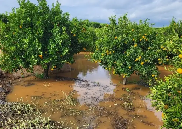 Σαρωτική κακοκαιρία σε Κέρκυρα και Λακωνία – Πλημμύρες, καταρρεύσεις και εγκλωβισμοί
