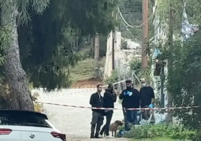 Ασύλληπτη φρίκη στη Σαλαμίνα: Νέα στοιχεία για τον μαρτυρικό θάνατο της 75χρονης