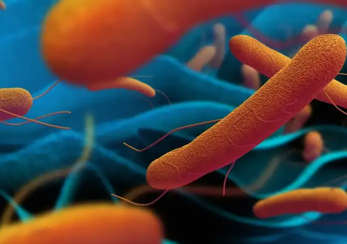 Το αρχαίο βακτήριο του τυφοειδούς πυρετού γίνεται ανθεκτικό στα αντιβιοτικά – Σοβαρή προειδοποίηση