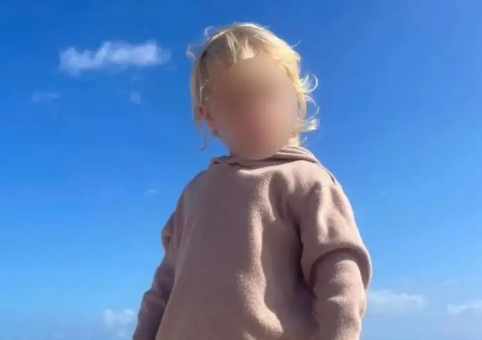 Νέες αποκαλύψεις για τον θάνατο του 2χρονου Λίο στη Ζάκυνθο – Ποιο το μέλλον του πιτ μπουλ