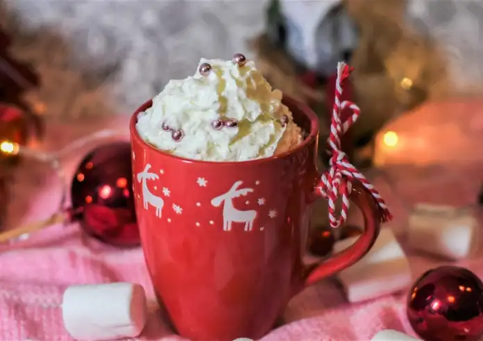 Χριστουγεννιάτικα ροφήματα: Ιδέες για να ζεστάνεις τις κρύες νύχτες των γιορτών