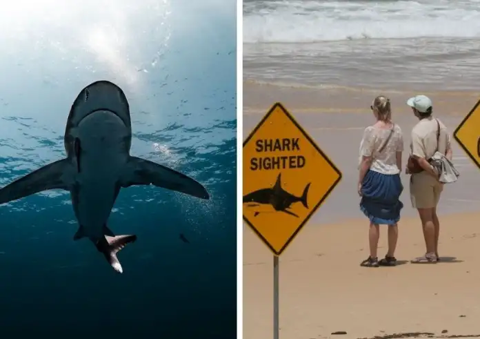 Τραγωδία στην Αυστραλία: Καρχαρίας κατασπάραξε 12χρονο αγόρι – Τρεις επιθέσεις σε 48 ώρες, σοκάρουν οι μαρτυρίες