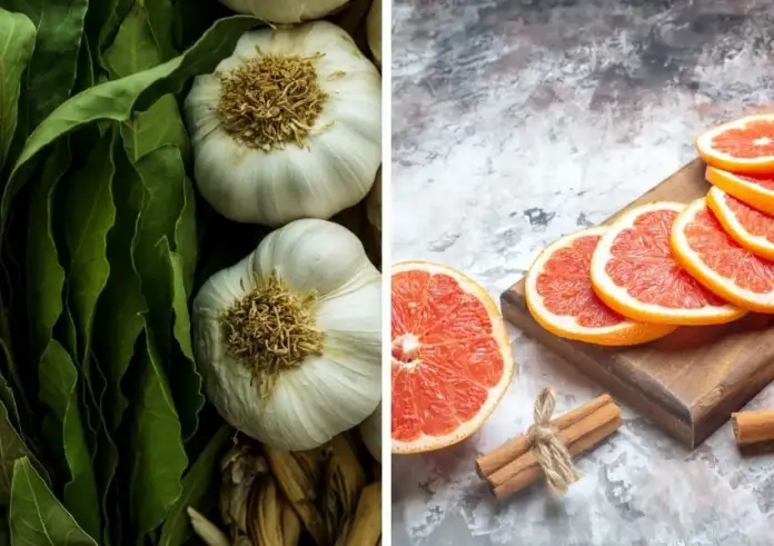 Φουσκωμένο στομάχι και κούραση; Οι 5 τροφές που πρέπει να φάτε αύριο για να «καθαρίσει» το συκώτι σας