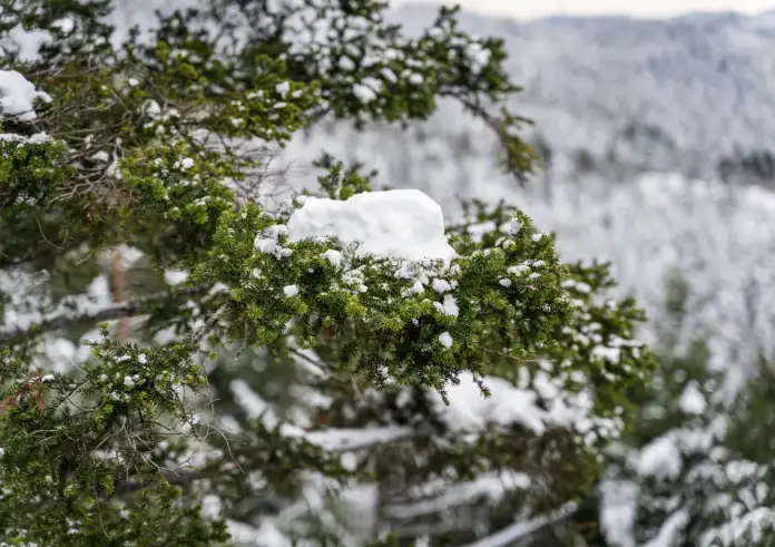 Στην «κατάψυξη» όλη η χώρα σήμερα – Πότε έρχονται τα πυκνά χιόνια και πού θα το στρώσει