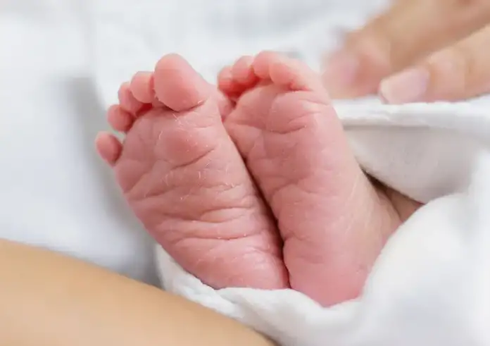 Καλλιθέα: Θρίλερ με τον θάνατο βρέφους 7 ημερών – Γιατί το πήγαν σε κτηνιατρείο