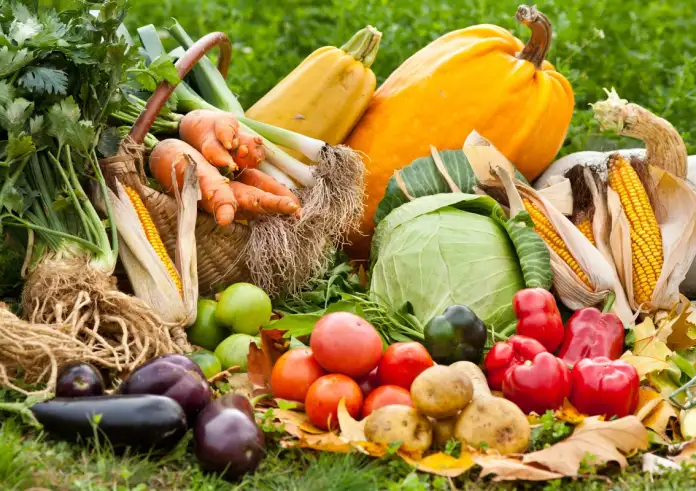 Το κορυφαίο αντικαρκινικό τρόφιμο σύμφωνα με τους ογκολόγους