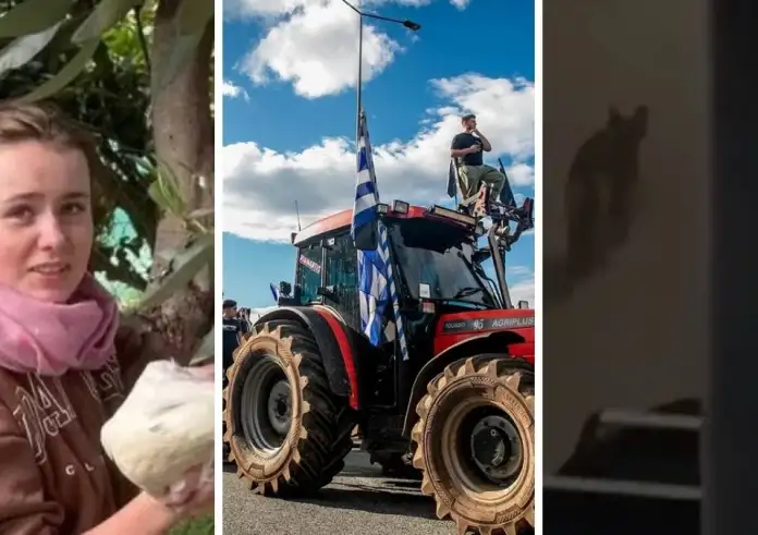 LIVE, Τετάρτη 14 Ιανουαρίου –Το «στοπ» του Τραμπ στις εκτελέσεις, το 3-0 του Μπακασέτα και το πόρισμα-κόλαφος για το μπλακ άουτ