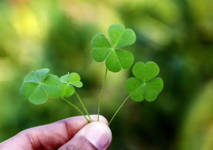 Φεβρουάριος 2026: Η πιο τυχερή μέρα για κάθε ζώδιο – Ο μήνας των μεγάλων ανατροπών