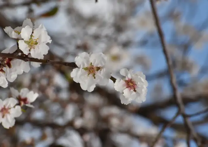 Καλό Μήνα: Ο Φεβρουάριος του 2026 μπήκε με «άγριες» διαθέσεις – Τι μας επιφυλάσσει ο πιο ιδιαίτερος μήνας του χρόνου