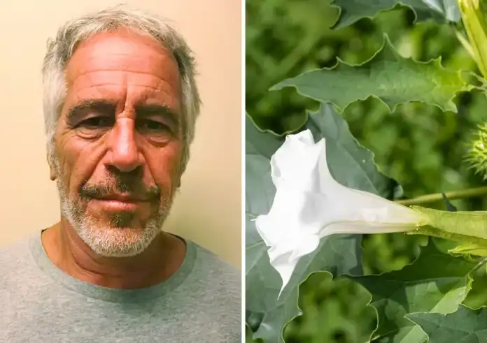 Νέες αποκαλύψεις για τον Έπσταϊν: Τα email αποκαλύπτουν εμμονή με επικίνδυνα φυτά