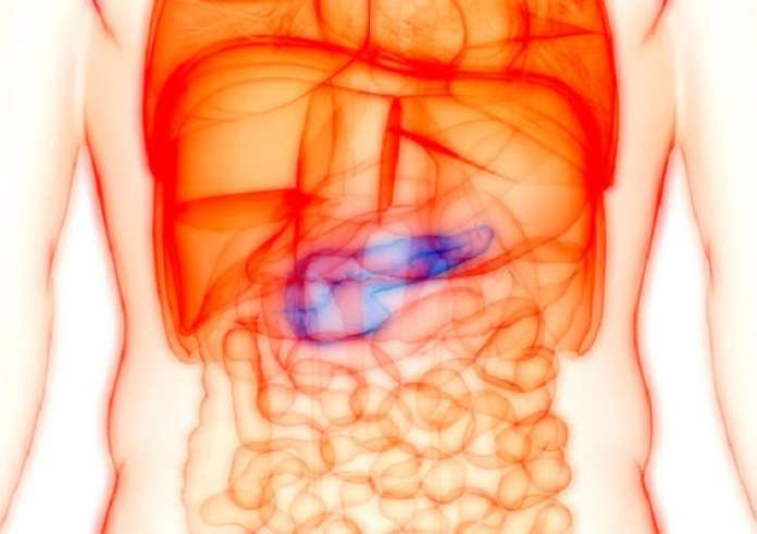 Καρκίνος του παγκρέατος: Δύο πρώιμα σημάδια της αθόρυβης νόσου