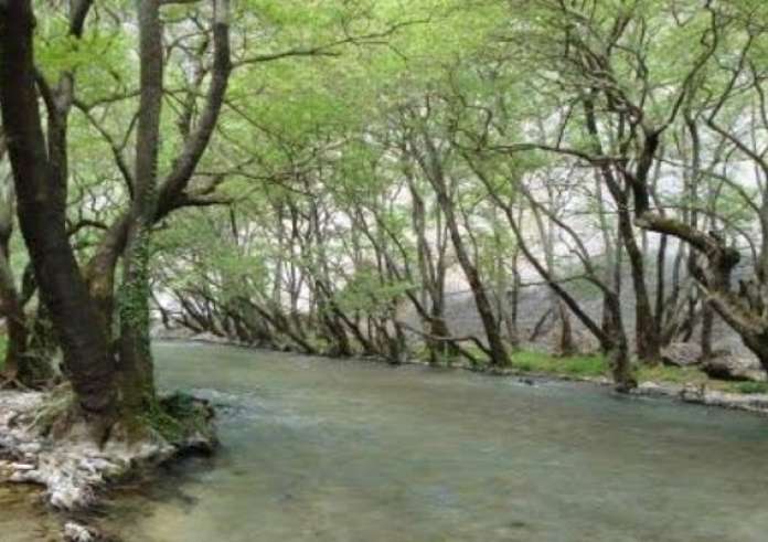 Το αντικείμενο που ψάρεψε στο ποτάμι έκανε όλη την αστυνομία να ψάχνει