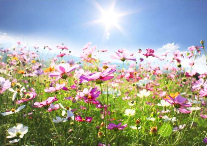 Κατάθλιψη της άνοιξης: Τα συμπτώματα και οι παράγοντες που την προκαλούν