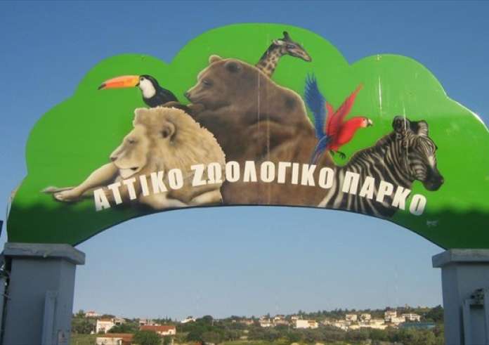 Αττικό Ζωολογικό Πάρκο: Άνοιξε για τους επισκέπτες - Μόνο με ηλεκτρονικό εισιτήριο και κατόπιν ραντεβού