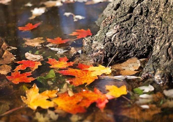 Καλό μήνα! Γιατί ο Νοέμβριος ονομάζεται κρασομηνάς, Αρχαγγελίτης και Αγιομηνάς;