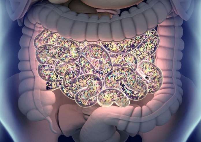Έντερο: Το προειδοποιητικό σημάδι που δεν πρέπει να αγνοείς