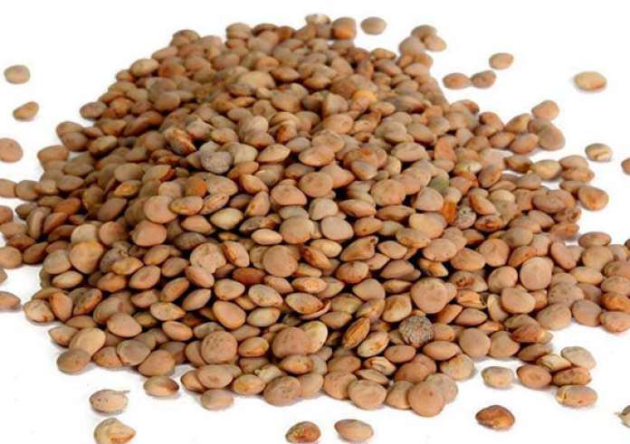 Οι 10 καλύτερες πηγές πρωτεΐνης εκτός από το κρέας