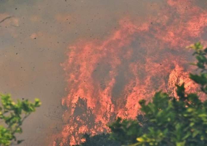 Εύβοια: Φωτιά στην Κάρυστο κοντά σε σπίτια – Έκκληση για εναέρια μέσα
