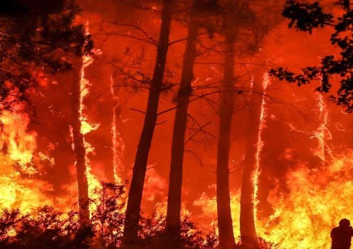 Αττική: Οι πυρκαγιές εξαφάνισαν το 37% των δασών της από το 2017 έως το 2024