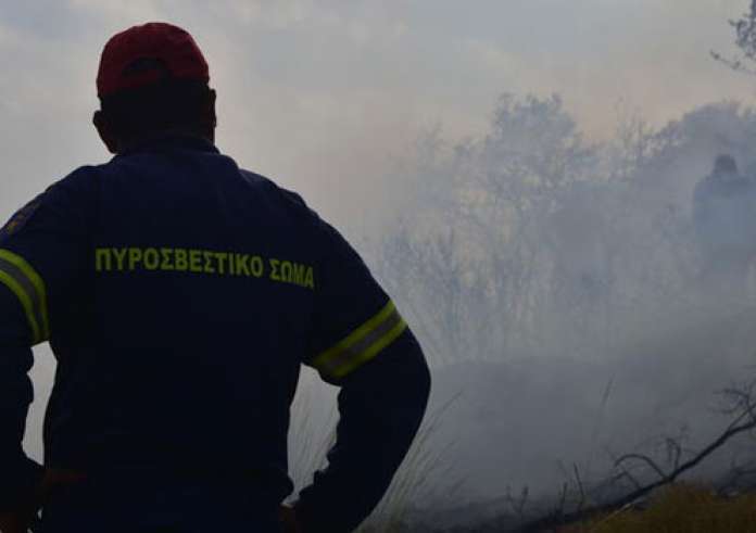 Χαλκιδική: Υπό πλήρη έλεγχο η φωτιά σε καλαμιές στα Νέα Ρόδα