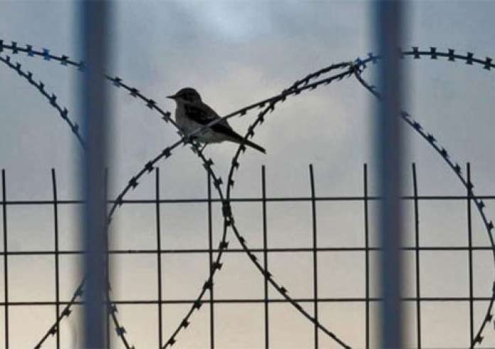 Βολιβία: Άνδρας προσπάθησε να αποδράσει από τη φυλακή ντυμένος πρόβατο - Δείτε εικόνες