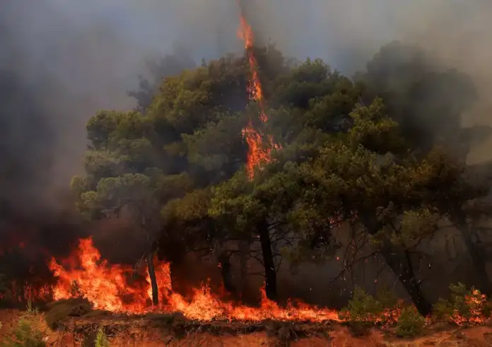 Εύβοια: Από χορτοκοπτικό ξεκίνησε η φωτιά στην Κάρυστο, μια σύλληψη