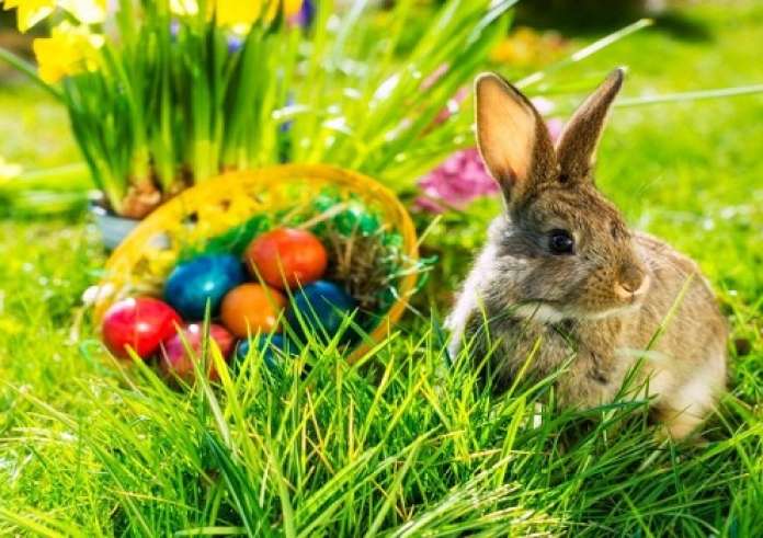 Η παράξενη ιστορία του πασχαλιάτικου λαγού