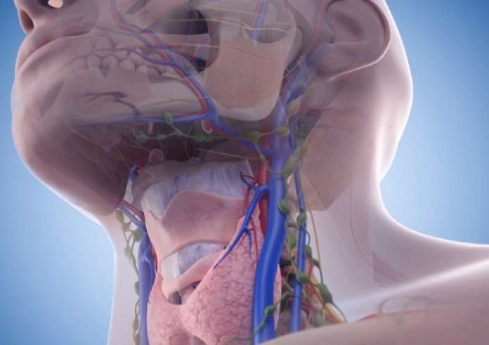 Επιστήμονες ανακάλυψαν πρωτεΐνες του αίματος που μπορούν να προειδοποιήσουν για καρκίνο χρόνια πριν από τη διάγνωση