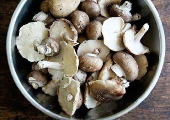 Συνταγή: Νηστίσιμη Μανιταρόπιτα