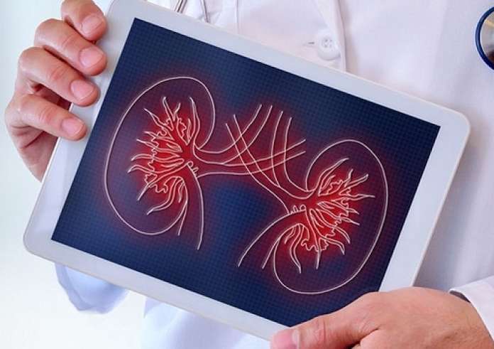 Νεφρά: Δωρεάν εξετάσεις – Ποιους αφορά