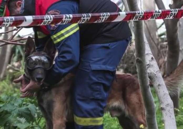 ΕΜΑΚ: Οι σκύλοι διασώστες που βρίσκουν ζωή κάτω από τα χαλάσματα