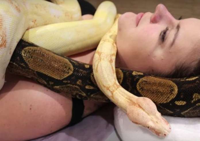 Η νέα ανατριχιαστική μέθοδος αναζωογόνησης: Μασάζ με φίδια