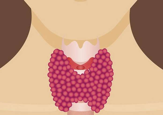 Θυρεοειδής: Όσα πρέπει να γνωρίζετε για να προστατευθείτε