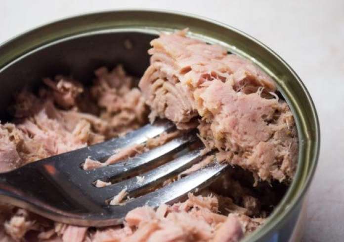 Τόνος σε κονσέρβα: Είναι επεξεργασμένο κρέας ή όχι;