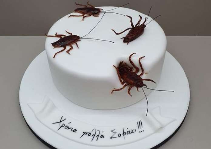 Κόρινθος: Zαχαροπλάστης κάνει θραύση με την τούρτα με γέμιση κατσαρίδες