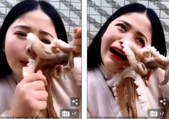 Χταπόδι – Alien αντεπιτίθεται σε γυναίκα που προσπάθησε να το φάει ζωντανό. Τρομερό βίντεο