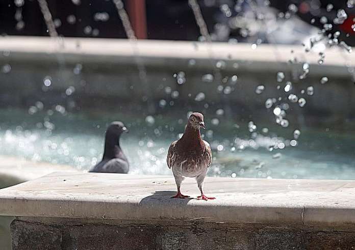 Νέο έκτακτο δελτίο καιρού: Αυτές θα είναι οι χειρότερες μέρες του καύσωνα