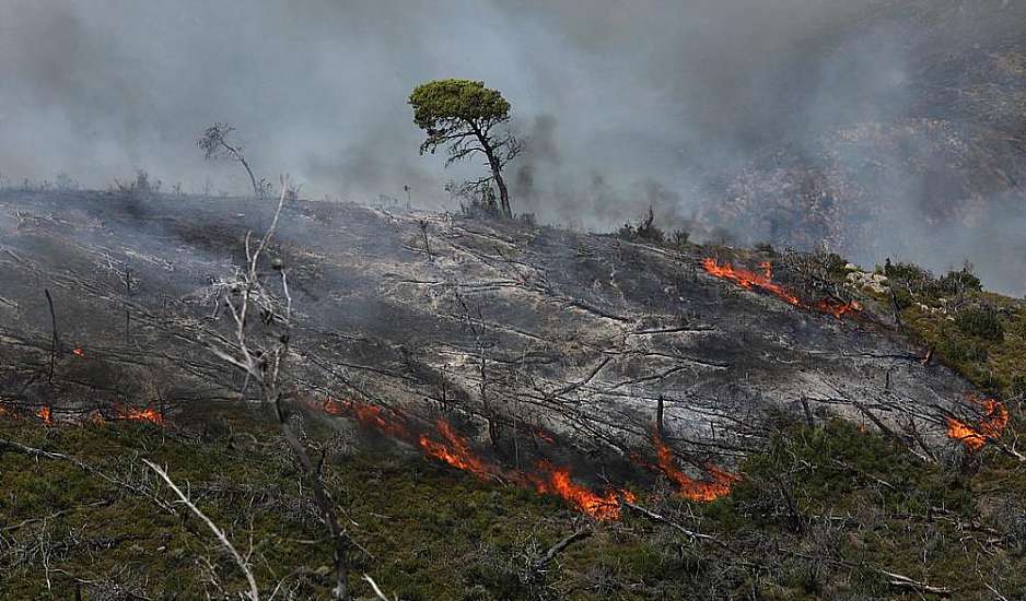 Πυροσβεστική: 62 δασικές πυρκαγιές το τελευταίο εικοσιτετράωρο – Οριοθετήθηκε η πυρκαγιά στην Θάσο