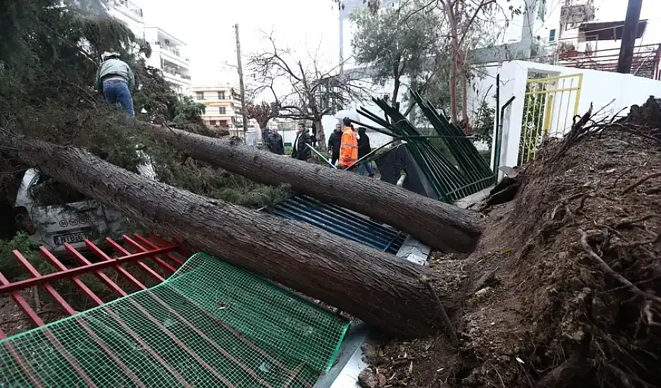 Ποια σχολεία δεν θα ανοίξουν τη Δευτέρα στη Θεσσαλονίκη λόγω πτώσης δέντρων
