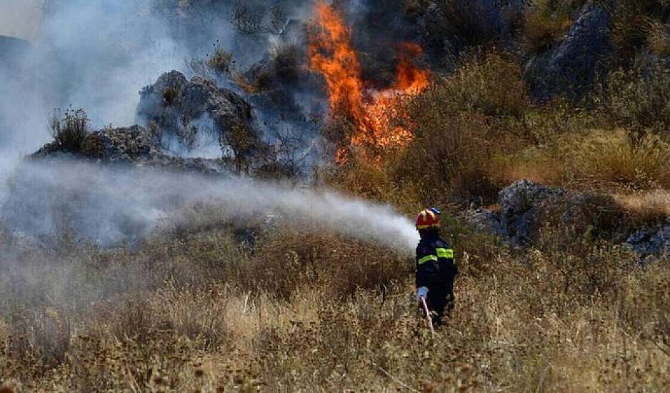 Φωτιά στη Ροδόπη: Καίει δασική έκταση στον Ίασμο