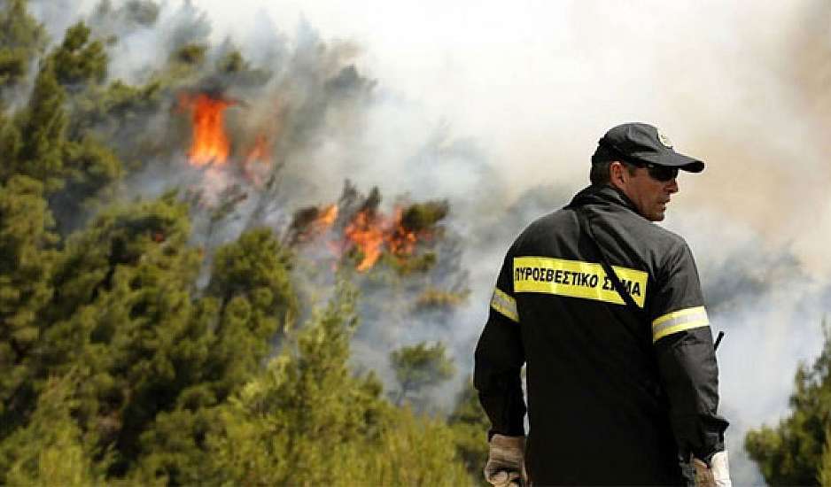 Αίγιο: Φωτιά στην περιοχή Μαμουσιά - Απειλούνται σπίτια, αδειάζουν παραλίες