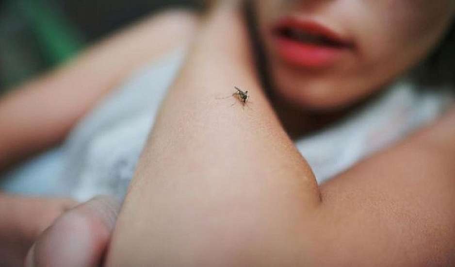 Οκτώ πράγματα που κάνετε και γεμίζει το σπίτι κατσαρίδες και κουνούπια