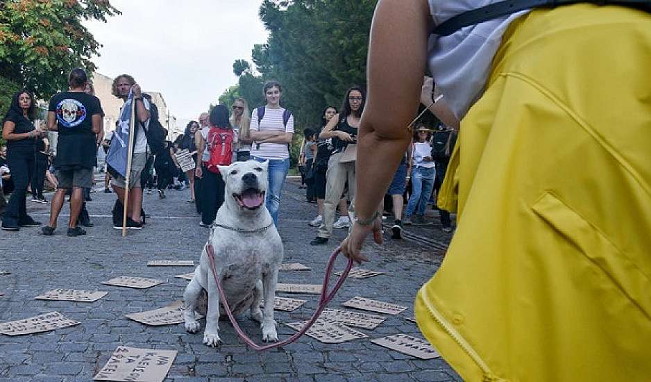 Πορεία για τα δικαιώματα των ζώων στο κέντρο της Αθήνας
