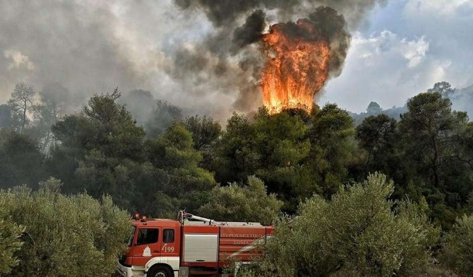 Μαίνεται η φωτιά στον Έβρο: Δεν απειλούνται οικισμοί - Ανακοινώνονται μέτρα για τους πληγέντες