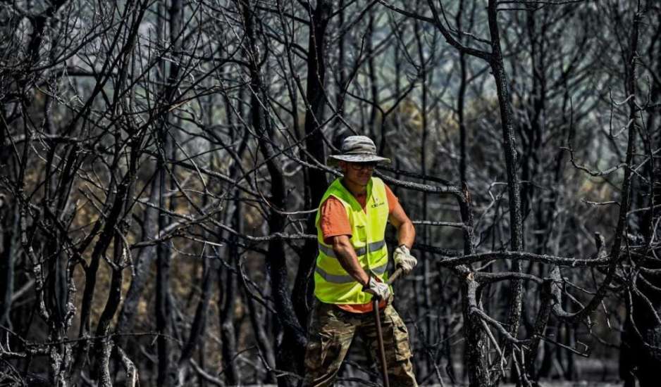 Ζάκυνθος: Οριοθετήθηκε η φωτιά στην περιοχή του Κρυονερίου